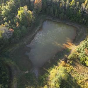 Photo #5 of Stewart, Ruffin, NC 88.0 acres