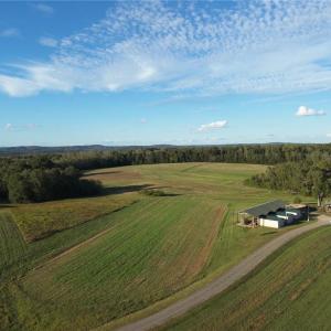 Photo #24 of Stewart, Ruffin, NC 88.0 acres