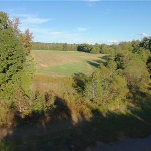 Photo #30 of Stewart, Ruffin, NC 88.0 acres