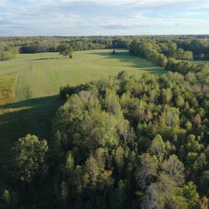 Photo #33 of Stewart, Ruffin, NC 88.0 acres