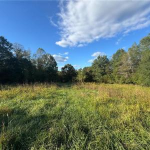 Photo #45 of Stewart, Ruffin, NC 88.0 acres