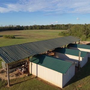Photo #35 of Stewart, Ruffin, NC 88.0 acres