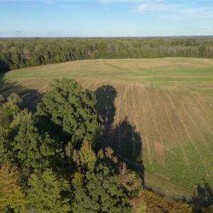 Photo #31 of Stewart, Ruffin, NC 88.0 acres