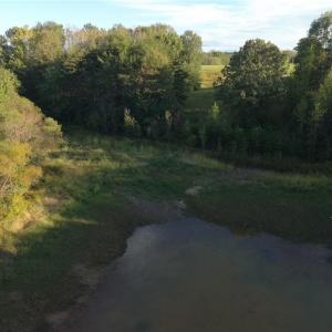 Photo #29 of Stewart, Ruffin, NC 88.0 acres