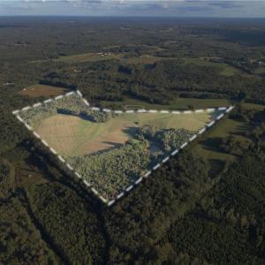 Photo #4 of Stewart, Ruffin, NC 88.0 acres