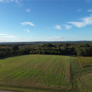 Photo #25 of Stewart, Ruffin, NC 88.0 acres