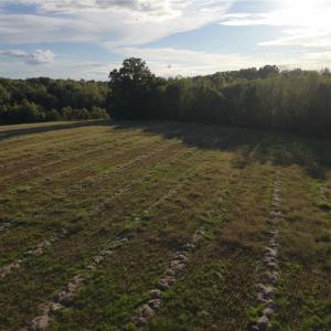 Photo #21 of Stewart, Ruffin, NC 88.0 acres