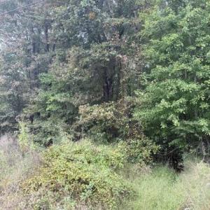 Photo #4 of Greensboro Chapel Hill, Liberty, NC 12.9 acres