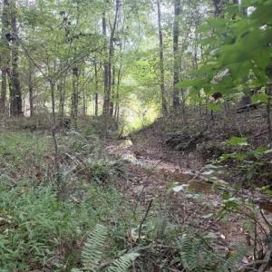 Photo #2 of Greensboro Chapel Hill, Liberty, NC 12.9 acres