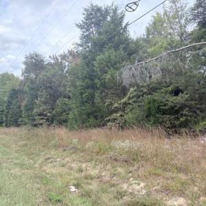 Photo #6 of Greensboro Chapel Hill, Liberty, NC 12.9 acres