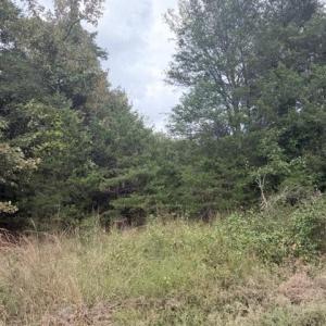 Photo #5 of Greensboro Chapel Hill, Liberty, NC 12.9 acres