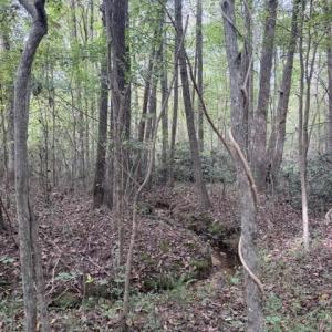 Photo #3 of Greensboro Chapel Hill, Liberty, NC 12.9 acres