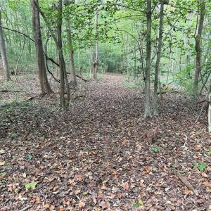 Photo #23 of Lot 5 Zeb Ferguson, Siler City, NC 5.6 acres