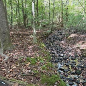 Photo #27 of Lot 5 Zeb Ferguson, Siler City, NC 5.6 acres