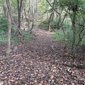 Photo #17 of Lot 5 Zeb Ferguson, Siler City, NC 5.6 acres