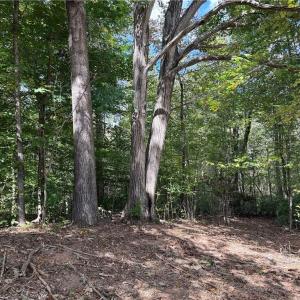 Photo #16 of Lot 5 Zeb Ferguson, Siler City, NC 5.6 acres