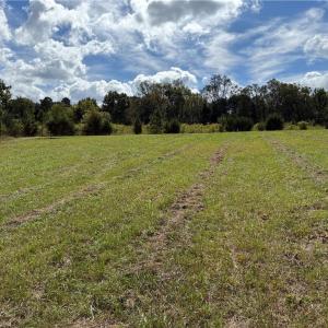Photo #12 of Lot 5 Zeb Ferguson, Siler City, NC 5.6 acres