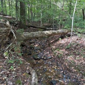 Photo #26 of Lot 5 Zeb Ferguson, Siler City, NC 5.6 acres