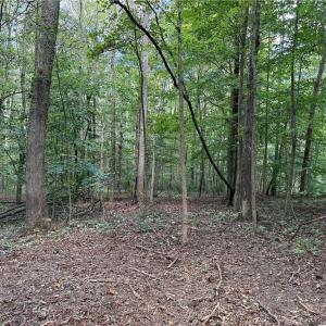 Photo #22 of Lot 5 Zeb Ferguson, Siler City, NC 5.6 acres