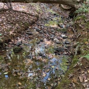 Photo #28 of Lot 5 Zeb Ferguson, Siler City, NC 5.6 acres