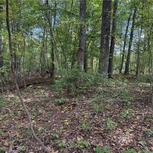 Photo #20 of Lot 5 Zeb Ferguson, Siler City, NC 5.6 acres