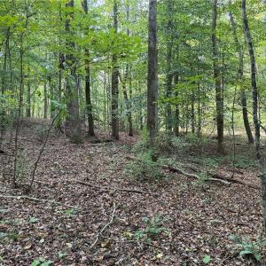 Photo #24 of Lot 5 Zeb Ferguson, Siler City, NC 5.6 acres
