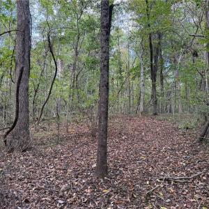 Photo #18 of Lot 5 Zeb Ferguson, Siler City, NC 5.6 acres
