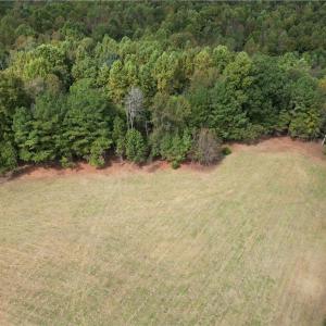 Photo #11 of Lot 5 Zeb Ferguson, Siler City, NC 5.6 acres