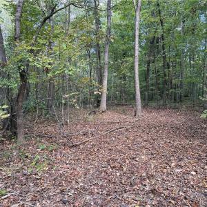 Photo #19 of Lot 5 Zeb Ferguson, Siler City, NC 5.6 acres