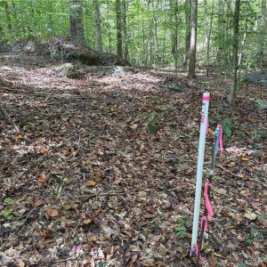 Photo #29 of Lot 5 Zeb Ferguson, Siler City, NC 5.6 acres