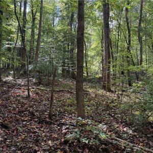 Photo #25 of Lot 5 Zeb Ferguson, Siler City, NC 5.6 acres