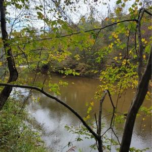 A view from the Old Path along the Dan River