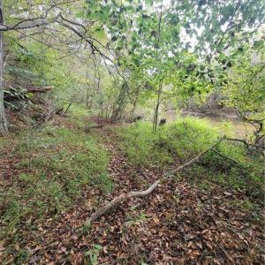 The Old Path along the Dan River