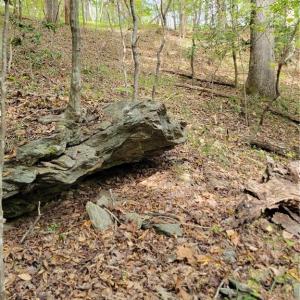 Really nice Rock Outcrops in the woods
