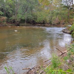 The Dan River on the Property