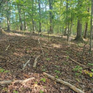 Building Site with Septic Permit