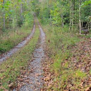 The Lower Road known as the Utility Easement