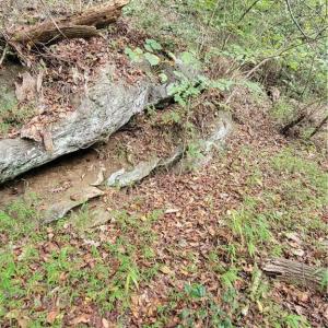 A Rock Outcrop on the Old Path at the Dan River