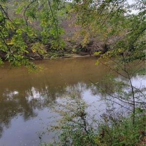 The Peaceful Dan River