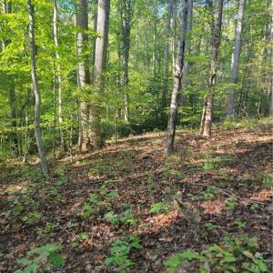 Building Site with Septic Permit