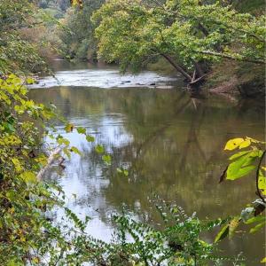 More of the River