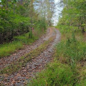 The Lower Road Known as the Utility Easement Property runs along the road See the  Pink Flagging