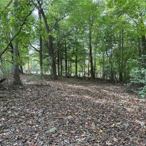 Photo #27 of Lot 4 Zeb Ferguson, Siler City, NC 5.5 acres