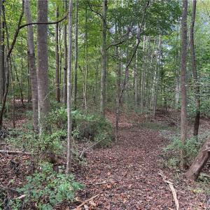 Photo #26 of Lot 4 Zeb Ferguson, Siler City, NC 5.5 acres