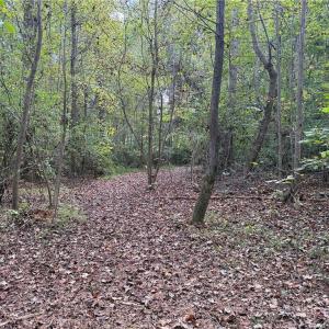 Photo #22 of Lot 4 Zeb Ferguson, Siler City, NC 5.5 acres