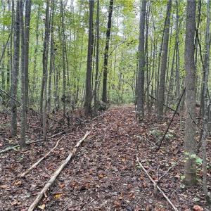 Photo #20 of Lot 4 Zeb Ferguson, Siler City, NC 5.5 acres