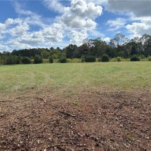 Photo #30 of Lot 4 Zeb Ferguson, Siler City, NC 5.5 acres