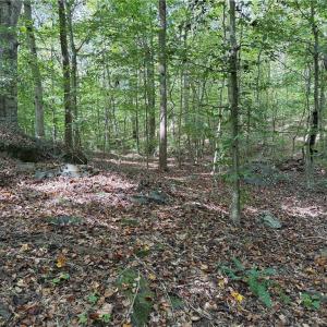 Photo #8 of Lot 4 Zeb Ferguson, Siler City, NC 5.5 acres