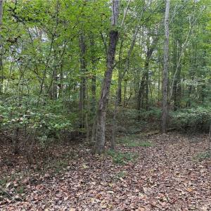 Photo #23 of 457 Zeb Ferguson, Siler City, NC 5.5 acres