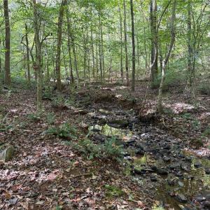 Photo #13 of 457 Zeb Ferguson, Siler City, NC 5.5 acres